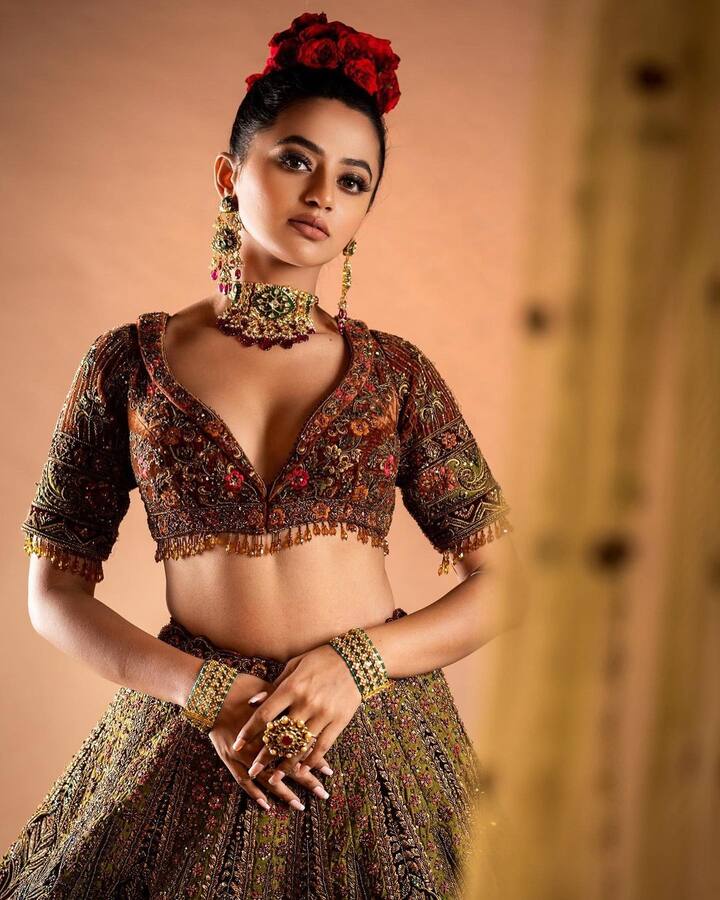 हैली शाह के इस आउटफिट की बात करें तो उनके डीप नेक ब्लाउज ने लुक में और चार चांद लगा दिया है.