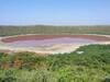 Lonar Lake :  उद्धव ठाकरेंच्या ड्रीम प्रोजेक्टला शिंदे सरकारचे खतपाणी, लोणार सरोवर संवर्धनासाठी 370 कोटी रुपये निधी मंजूर