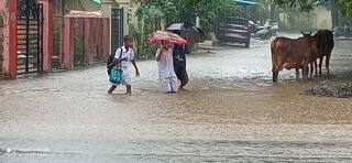 Nagpur Rain : मुसळधार पावसाने नागपूरकरांची तारांबळ, पुढील दोन दिवसही 'यलो अलर्ट'