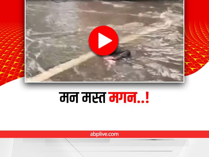 man lying in the water on the middle of the road in Mumbai video viral on social media Viral: मुंबई में बीच सड़क पानी में लेटा एक शख्स, वीडियो देख छूट जाएगी आपसी हंसी