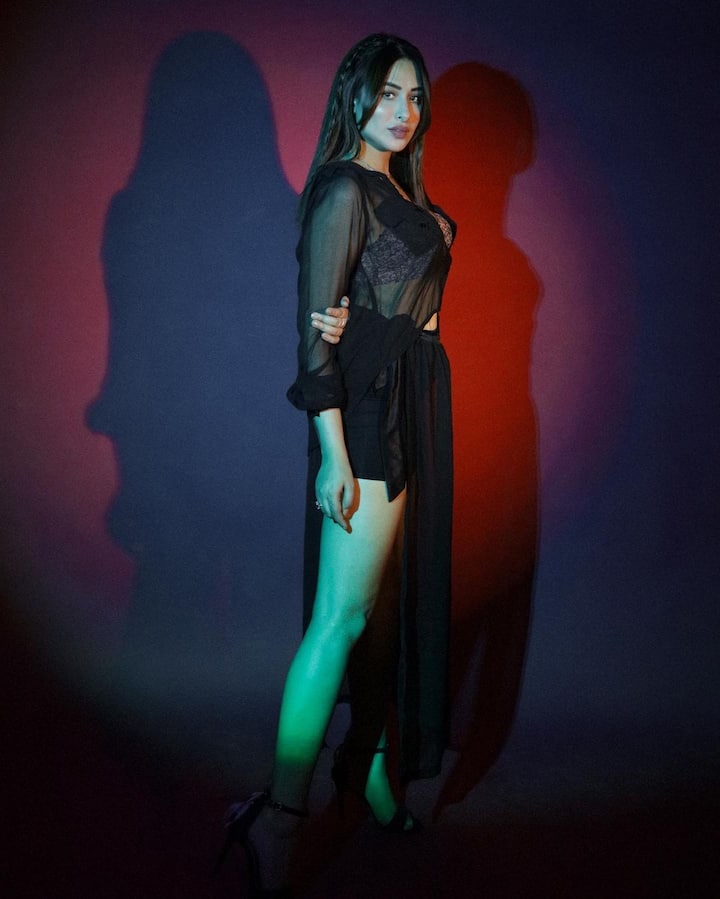 'बिग बॉस 13' ची स्पर्धक झाल्यापासून माहिरा सतत चर्चेत असते. या शोने त्यांना घरोघरी एक खास ओळख मिळवून दिली आहे.(फोटो सौजन्य : officialmahirasharma/इंस्टाग्राम)