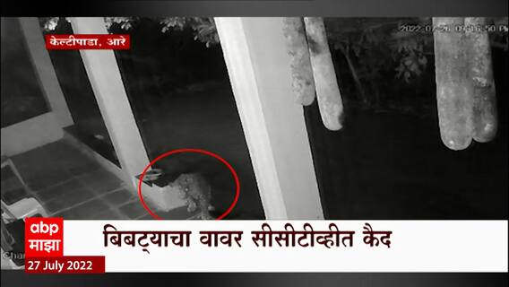 Aarey Colony Leopard : आरे परिसरात बिबट्याचा मुक्त संचार,मेट्रो कारशेडपासून हाकेच्या अंतरावर बिबट्या