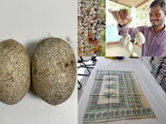 Bastar News: बस्तर के कोसा केंद्र में 3 साल से लगा है ताला, सरकार की उदासीनता से पारंपरिक व्यवसाय छोड़ने को मजबूर युवा