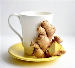 Ginger Benefits: খালি পেটে আদা খাচ্ছেন? কী প্রভাব পড়ছে শরীরে?