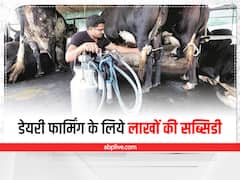 Subsidy Offer: युवाओं के लिये सुनहरा अवसर, डेयरी फार्मिंग के लिये मिलेंगा 24 लाख का अनुदान, यहां करें आवेदन
