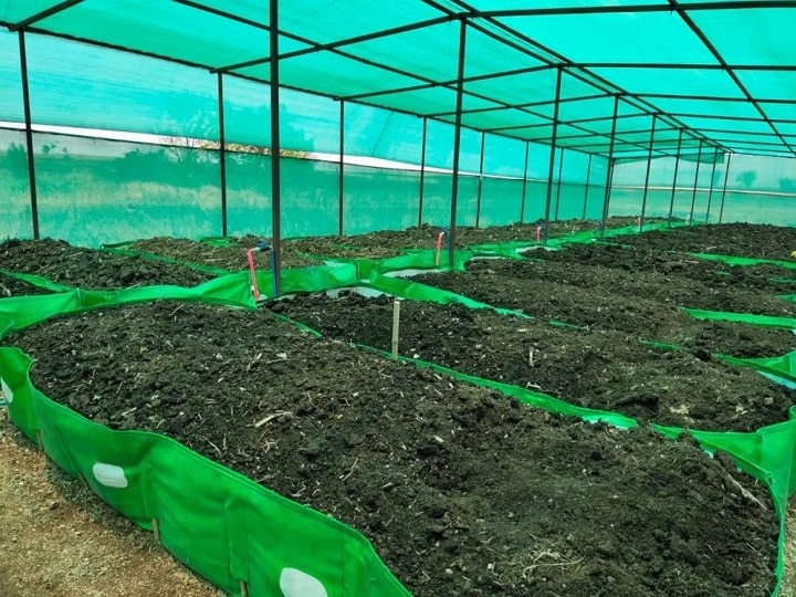 Agriculture Start Up: घर बैठे मालामाल बना देगा केंचुआ, यहां जानें वर्मी कंपोस्ट यूनिट लगाने का पूरा लेखा-जोखा