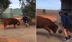 Viral Video: ਵਿਅਦਤੀ ਨੇ ਬਲਦ ਨਾਲ ਖੇਡਿਆ ਬਾਸਕਟਬਾਲ, ਖਤਰਨਾਕ ਖੇਡ ਦੇਖ ਰੁਕ ਜਾਣਗੇ ਤੁਹਾਡੇ ਸਾਹ