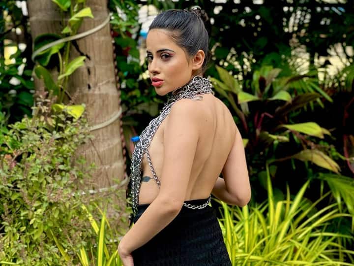 Urfi Javed Has A New Admirer After Ranveer Singh. Find Out Who Uorfi Javed Has A New Admirer After Ranveer Singh. Find Out Who