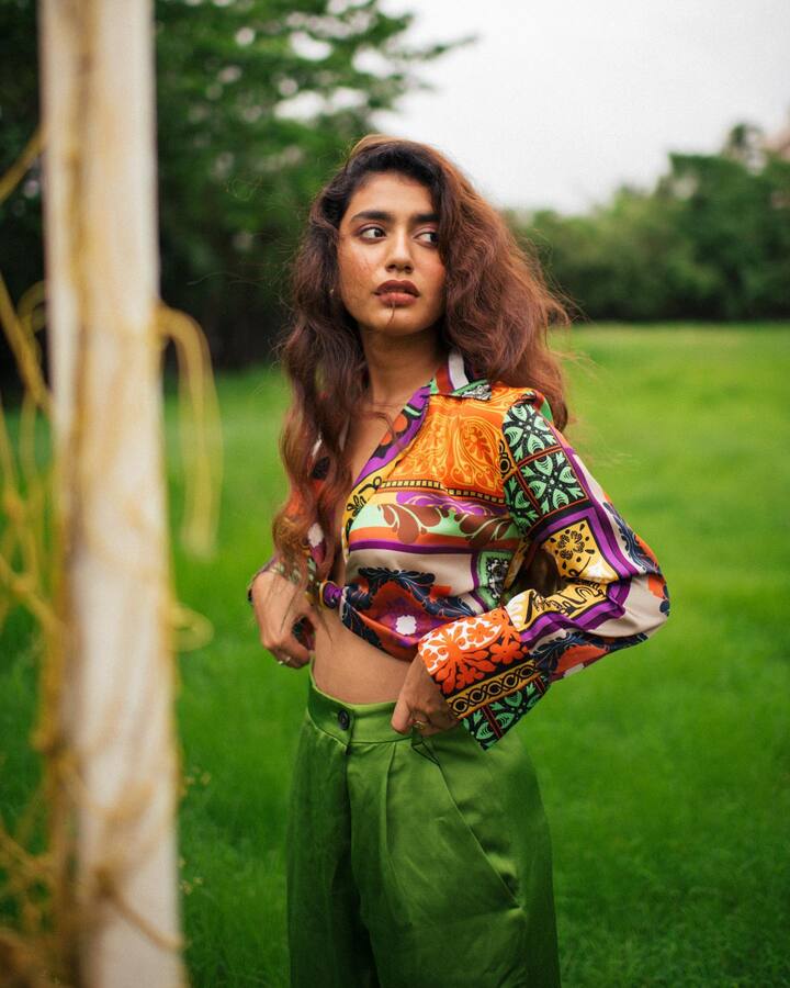 ఆ తరువాత అడపాదడపా సినిమాల్లో కనిపించిన ఆశించినంత స్టార్ డమ్ ఇంకా రాలేదు. -Image credit: Priya Prakash Varrier/Instagram