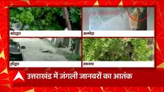 Uttarakhand में जंगली जानवरों के आतंक की 4 तस्वीरें, बाघ के आतंक से दहले ये शहर