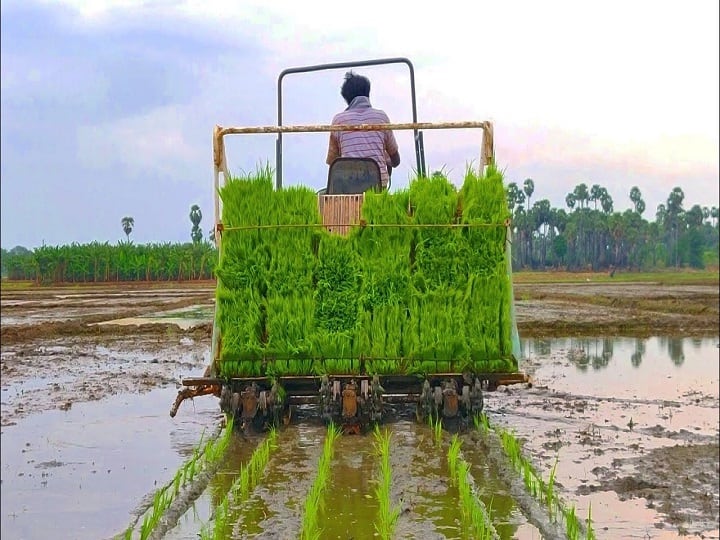 apply here for rice Paddy transplanter machine is available at 50% subsidy in madhya pradesh Subsidy Offer: मिनटों में होगी धान की रोपाई, 50% सब्सिडी पर मिल रही है राइस ट्रांसप्लांटर मशीन, यहां करें आवेदन