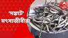 Fisherman Crisis: দুর্গাপুর ব্যারাজে মাছের সঙ্কট। সেভাবে মাছ আসছে না। দামোদর নদেও মাছের পরিমাণ কম। ফলে মাছ ধরাই যাঁদের জীবিকা, ব্যারাজের দু’পাশের সেই মত্‍স্যজীবীরা পড়েছেন চরম সঙ্কটে। Bangla News