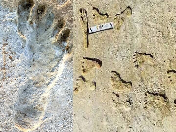 Ice Age human footprints discovered in Utah desert திடீரென தோன்றி மறையும் பேய் கால்தடங்கள்? 12 ஆயிரம் வருட மர்மத்தை கண்டுபிடித்த ஆய்வாளர்கள்!