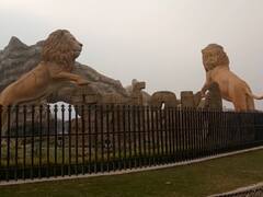 Etawah News: बब्बर शेर मनन की मौत के एक महीने बाद इटावा सफारी में लौटी खुशी, सितंबर में शावकों का होगा जन्म