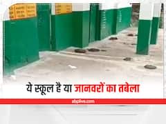 Jalaun: जालौन के इस स्कूल की ऐसी हालत, शिक्षा का मंदिर है या जानवरों का तबेला?