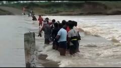 Monsoon 2022: All schools closed in Jodhpur after heavy floods | ABP news