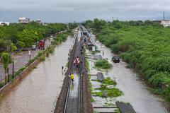 Monsoon Mayhem: Heavy Rains Pound Jodhpur, Parts Of Hyderabad Inundated | IN PICS