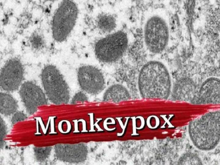 New York Asks WHO To Rename Monkeypox, Check Details Monkeypox Rename: మంకీపాక్స్ పేరు మార్చండి, WHOకి విజ్ఞప్తి చేసిన ఆ సిటీ-కారణమేంటంటే?