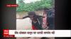 Yavatmal : यवतमाळमध्ये विद्यार्थ्यांचा जीवघेणा प्रवास, राजोरा गावातील पूल पाण्याखाली