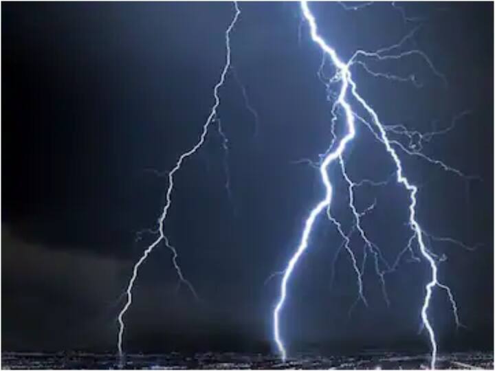 A middle-aged man died on the spot after being struck by lightning in Savarkundla Amreli News: સાવરકુંડલામાં વીજળી પડતા આધેડનું ઘટના સ્થળે જ મોત