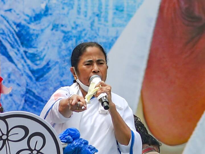 'महाराष्ट्र पर कब्जा किया, अब झारखंड में कोशिश है लेकिन बंगाल उन्हें हरा देना', CM ममता बनर्जी का BJP पर बड़ा हमला CM Mamata Banerjee Says BJP taken Maharashtra, now Jharkhand but Bengal has defeated them 'महाराष्ट्र पर कब्जा किया, अब झारखंड में कोशिश है लेकिन बंगाल उन्हें हरा देना', CM ममता बनर्जी का BJP पर बड़ा हमला