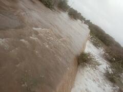 In Pics: तस्वीरों में देखें कैसे अजमेर में बारिश बना किसानों के लिए परेशानी का सबब, अलर्ट जारी