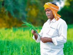 Pradhan Mantri Fasal Bima Yojna 2022: लाभार्थी किसान 31 जुलाई तक करवा सकेंगे ई-केवाईसी का वेरिफिकेशन, ये है प्रोसेस