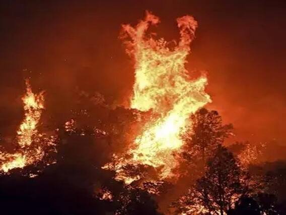 California wildfires: கலிபோர்னியாவில் கொழுந்து விட்டு எரியும் காட்டுத்தீ ! பதைபதைக்க வைக்கும் புகைப்படங்கள்! California wildfires: கலிபோர்னியாவில் கொழுந்து விட்டு எரியும் காட்டுத்தீ ! பதைபதைக்க வைக்கும் புகைப்படங்கள்!