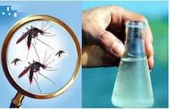 Surat: દર્દીઓને સ્વાઈન ફ્લૂ અને કોરોના મળ્યો એકસાથે જોવા, શહેરમાં વકર્યો રોગચાળો