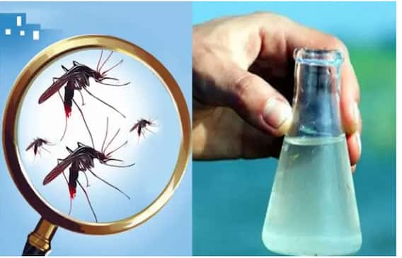 Surat: દર્દીઓને સ્વાઈન ફ્લૂ અને કોરોના મળ્યો એકસાથે જોવા, શહેરમાં વકર્યો રોગચાળો