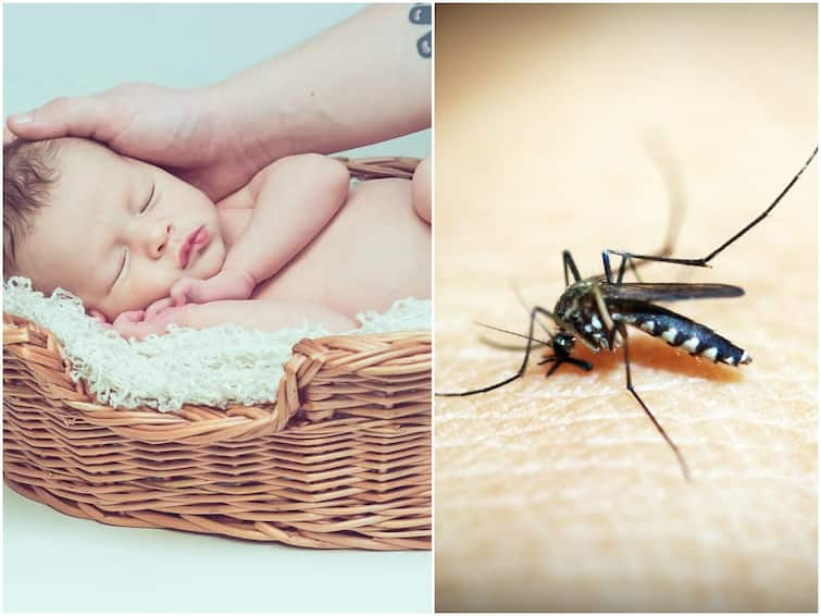 Here Is The Ways To Keep Your Baby Safe From Mosquitoes This Rainy Season Baby Care: వర్షాకాలంలో దోమల నుంచి ఇలా మీ చిన్నారులని రక్షించుకోండి