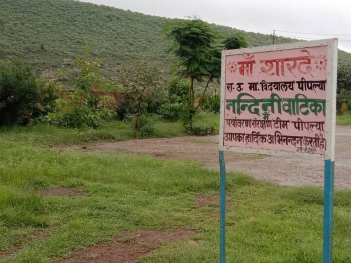 Bundi Rajasthan New initiative of Government School three gardens built in name of daughters ANN Bundi News: बेटियों को शिक्षा से जोड़ने की अनूठी पहल, स्कूल के इस नए कदम से लगातार बढ़ता ही जा रहा बेटियों का एडमिशन