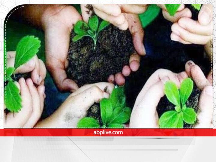 Hariyali Amavasya 2022: हरियाली अमावस्या पर इन पौधों का करें वृक्षारोपण, होगी अक्षयफल की प्राप्ति hariyali amavasya 2022 plantation of these plants on hariyali amavasya may give you renewable fruit Hariyali Amavasya 2022: हरियाली अमावस्या पर इन पौधों का करें वृक्षारोपण, होगी अक्षयफल की प्राप्ति