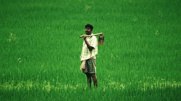 Indian Crops : এমন কিছু ফসল রয়েছে যেগুলি লাভের মুখ দেখায়। সমৃদ্ধশালী হয়ে ওঠে কৃষকের পরিবার।