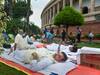 Suspended Rajya Sabha MPs: सांसदों के 50 घंटे प्रदर्शन के लिए खास व्यवस्था, 'इडली-सांभर' से लेकर 'चिकन' का सेट है मेन्यू