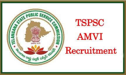 TSPSC has released notification for Recruitment of Assistant Motor Vehicle Inspector posts in Transport Department TSPSC: టీఎస్‌పీఎస్సీ నుంచి మరో నోటిఫికేషన్- 113 అసిస్టెంట్‌ మోటార్‌ వెహికిల్‌ ఇన్‌స్పెక్టర్ పోస్టులు