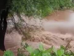 Jodhpur Rain: कई इलाकों में अब भी जलभराव, रेल की पटरियों के खस्ता हाल, डीएम-कमिश्नर ने किया बाढ़ प्रभावित इलाकों का दौरा