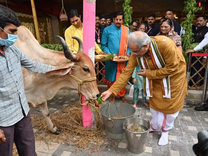 छत्तीसगढ़ में गोमूत्र की खरीदी शुरू, सीएम बघेल बने पहले विक्रेता, पांच लीटर के मिले 20 रुपये