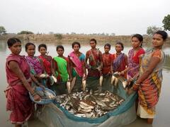 Subsidy Offer: मानसून में बरसेगा पैसा, 60% सब्सिडी और 2 लाख के लोन पर शुरु करें मछलीपालन, यहां करें आवेदन