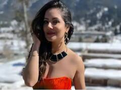 Puja Banerjee Pics: ਟੀਵੀ ਦੀ ਪਾਰਵਤੀ ਨੇ ਪਾਣੀ 'ਚ ਕੀਤੀ ਮਸਤੀ, ਫੋਟੋਜ 'ਚ ਸੀਜਲਿੰਗ ਅਵਤਾਰ