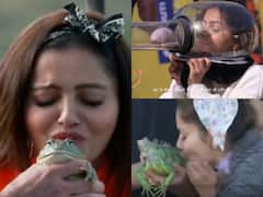 OMG! अब चूहे को चूमती Rubina Dilaik की हालत खराब, खतरों के खिलाड़ी में कई जानवरों पर लुटाया प्यार