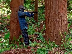 Bastar News: नक्सलियों की नई चाल को भांप चुके हैं सुरक्षाबल, गुमराह करने के लिए सड़क किनारे जंगलों में लगाई ये चीज