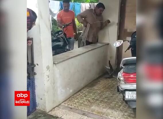 Vadodara : સોસાયટીમાં મગર ઘૂસી આવતાં લોકોમાં ફફડાટ, જુઓ Live Rescue