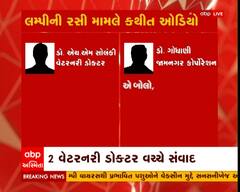 જામનગરમાં લમ્પી વાયરસની વેક્સીનમાં મોટું કૌભાંડ