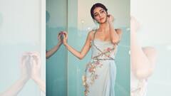 Ananya Panday: এই বলি তারকার সঙ্গে প্রেম করছিলেন অনন্যা? ফাঁস করলেন কর্ণ