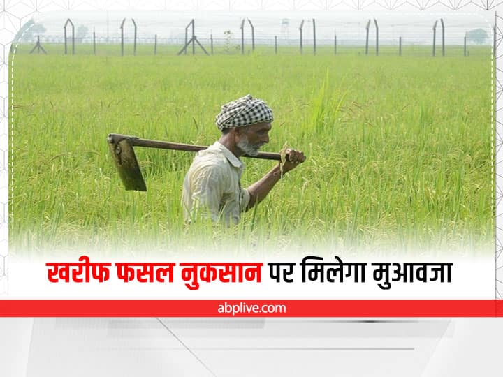 Farmers will get compensation for the loss in Kharif crops by applying this way Kharif Crop Compensation: इन किसानों को मिलेगा खरीफ फसलों में हुये नुकसान का मुआवजा, यहां करें आवेदन