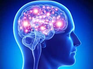 Health Tips : स्मरणशक्ती वाढविण्यासाठी 'या' 5 सूपरफूड्सचा आहारात समावेश करा; जाणून घ्या सविस्तर
