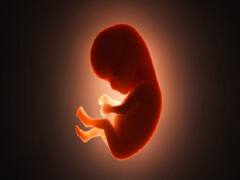 Beed News: महाराष्ट्र में महिला को गर्भपात के लिए किया गया मजबूर, पति भी था साजिश में शामिल