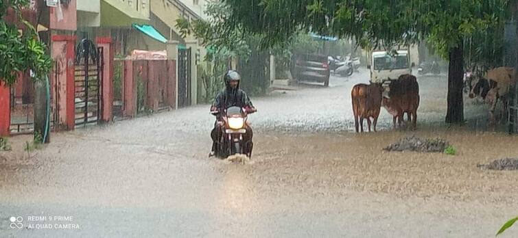 July recorded 300 mm above average rainfall the biggest loss of the crop Nagpur Rain : जुलैमध्ये सरासरीपेक्षा 300 मिमी अधिक पावसाची नोंद, खरीप पिकाचे सर्वात मोठे नुकसान