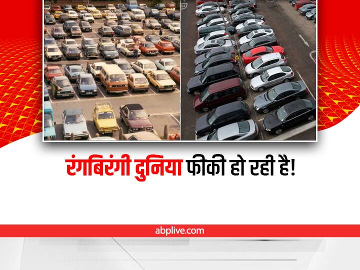 Trending: क्या आपको पता है कि ये दुनिया कम रंगीन होती जा रही है! जानिए कैसे world becoming colourless viral post on twitter on social media Trending: क्या आपको पता है कि ये दुनिया कम रंगीन होती जा रही है! जानिए कैसे